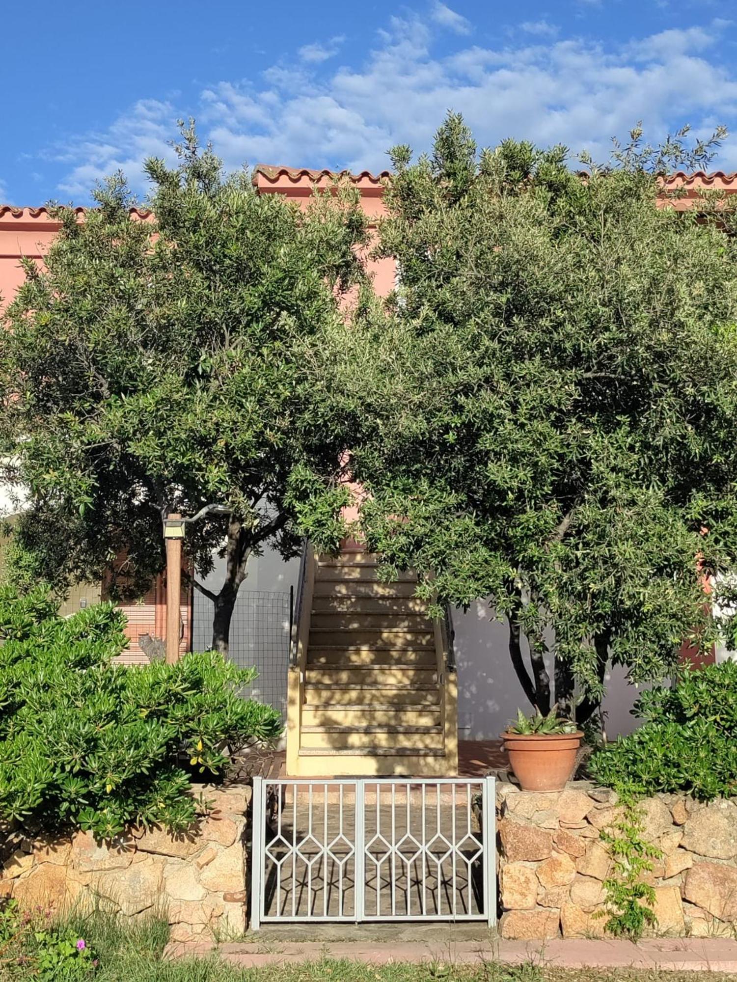 Le Canne - Appartamento "Luna" San Teodoro (Sardinia) Zewnętrze zdjęcie